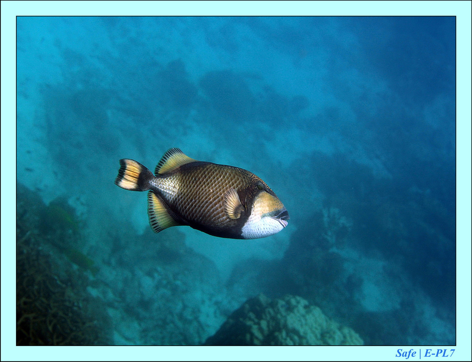 2016 - 07 - Leng Tengah - 067